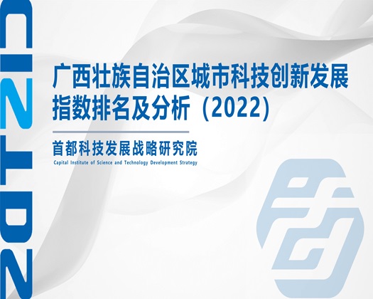 鸡巴操骚穴逼【成果发布】广西壮族自治区城市科技创新发展指数排名及分析（2022）